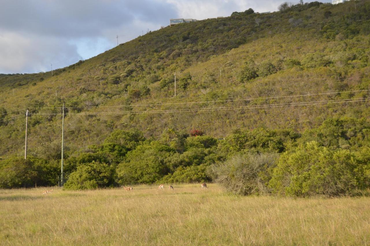 Matjesfontein Estate Keurbooms Chalet Плетенбърг Бей Екстериор снимка